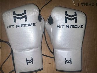 Hit N Move Pro Fight Gloves