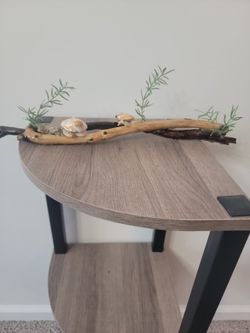 Small Driftwood With Shell Turtles
