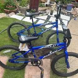 20in Bikes    $100 For Both Or $65 Each OBO 