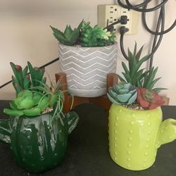 3 Fake Succulents 