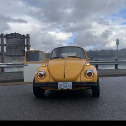Volkswagen Beetle, Bumble Bee