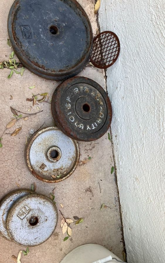$25- Plate Weights