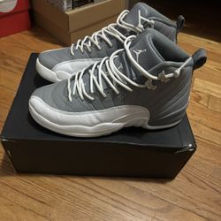 stealth jordan 12 (GS)