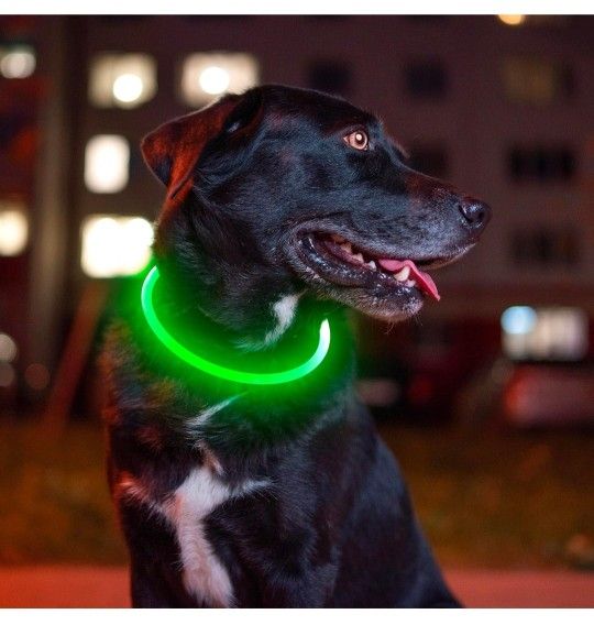 LED Safety Dog Collar Rechargeable, Green, Gently Used