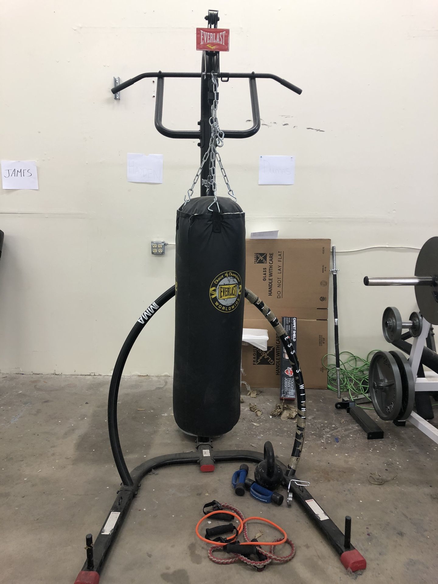 Everlast Punching Bag and stand