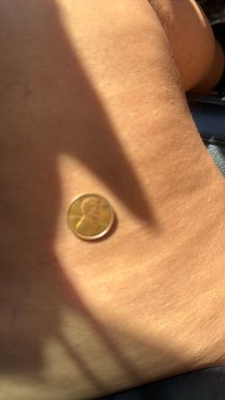 Penny 1973