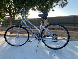 Raleigh C30 Step-Through Hybrid Bike (700c tires - 19” frame)