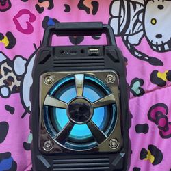 portable Bluetooth speaker