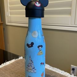 Disneyland Park Insulated Bottle