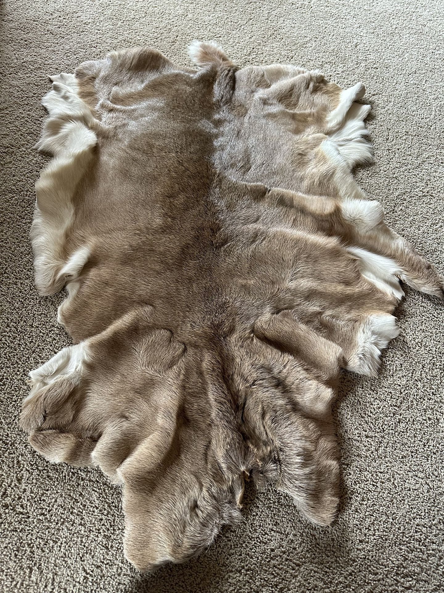 Authentic Deer Skin