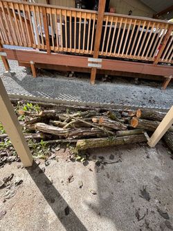 🌳 Asian Pear Wood Logs – $175 OBO 🔥