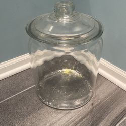 Extra Large Heavy Glass Container w/ Lid