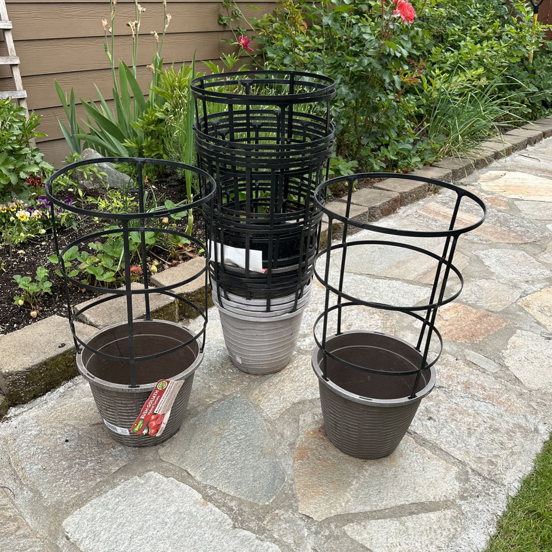 Pots  For Vegetables And Flowers $5 each
