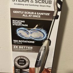 Steam An Scrub Sanitizing  Steam Mop