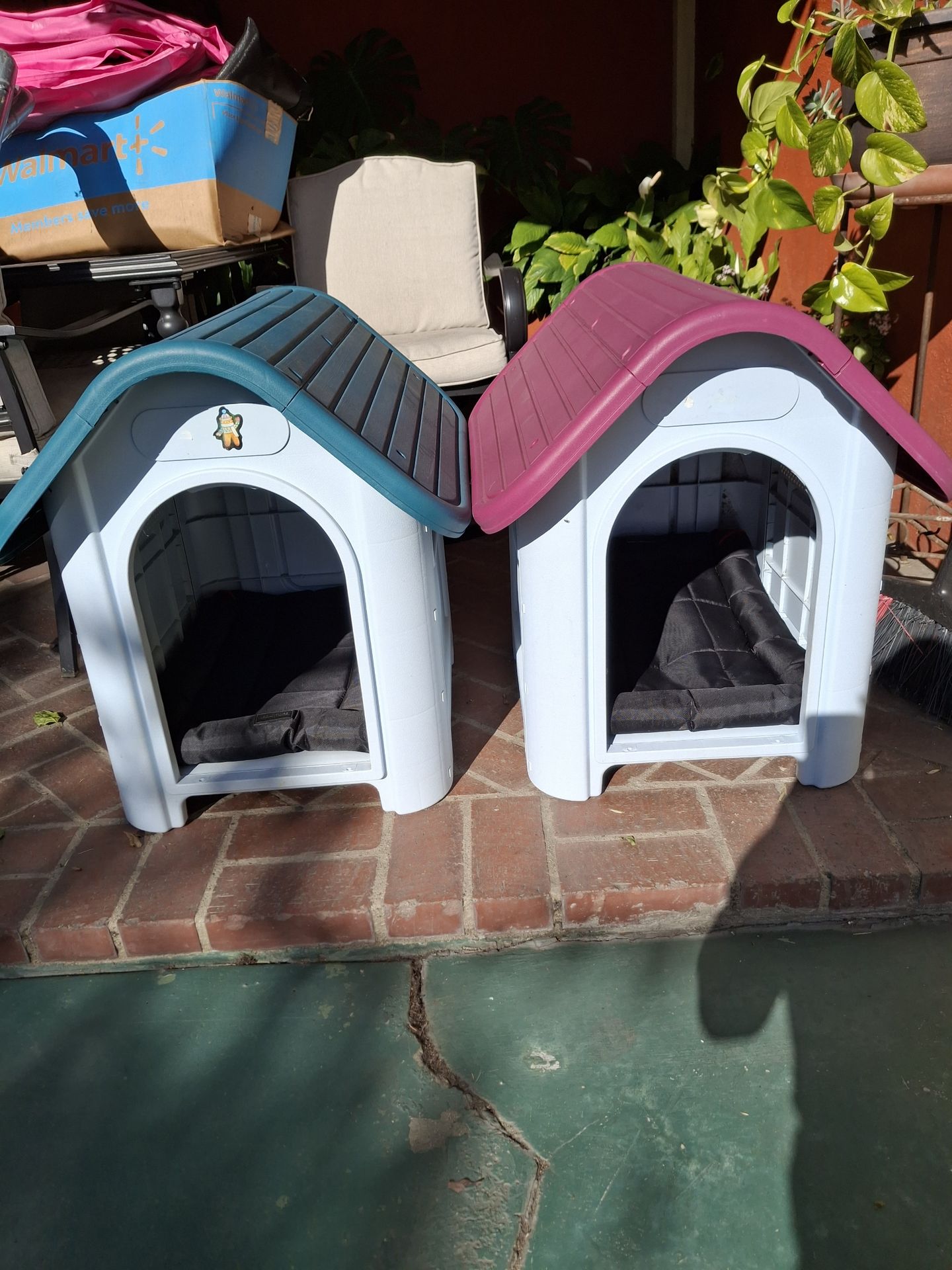 Dog house