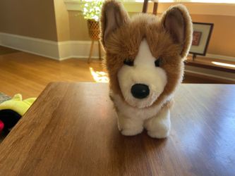 Corgi