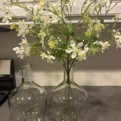 Glass Vases - Set of 2