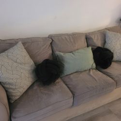 Free Couch! Local Pick Up In Bixby Knolls