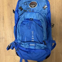Osprey Manta 28 Hiking Pack 