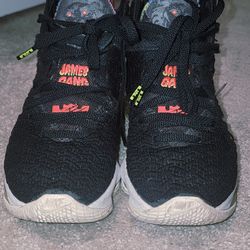 LeBron James basketball shoes