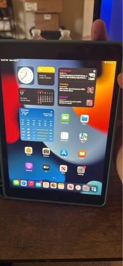 Apple iPad 9th Gen 256GB