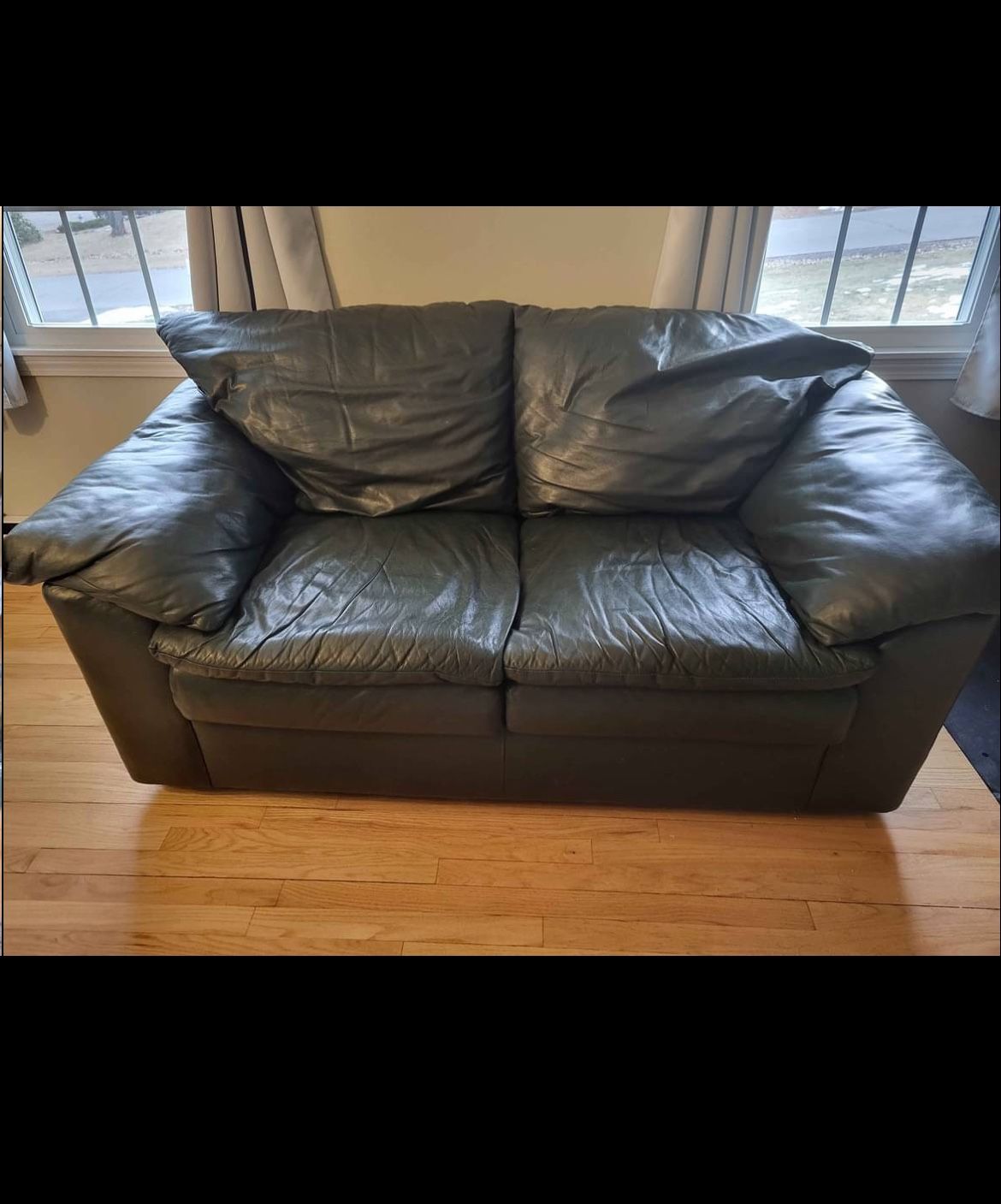 2 Seater Leather Couch 