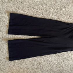 Ann Taylor Loft Stretch Dress Pants - Women’s Large petite 