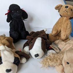 5 Vintage Beanie Babies Dogs: Bernie, Gigi, Bruno, Spunky & Tuffy