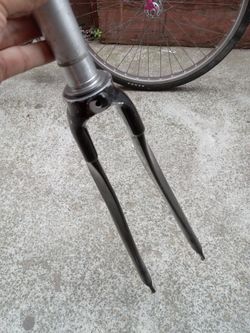 Carbon forks