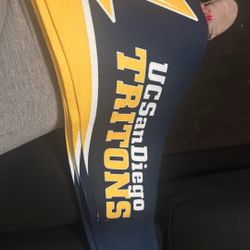 College Flags & Banners Co. UC San Diego Pennant Full Size Felt