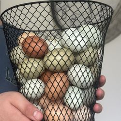 Eggs 