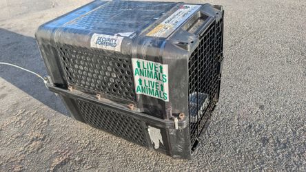 medium sized dog cage training crate animal cat kennel transporter