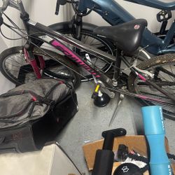 Schwin Bike