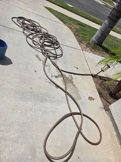 100' Water Hose From Costco