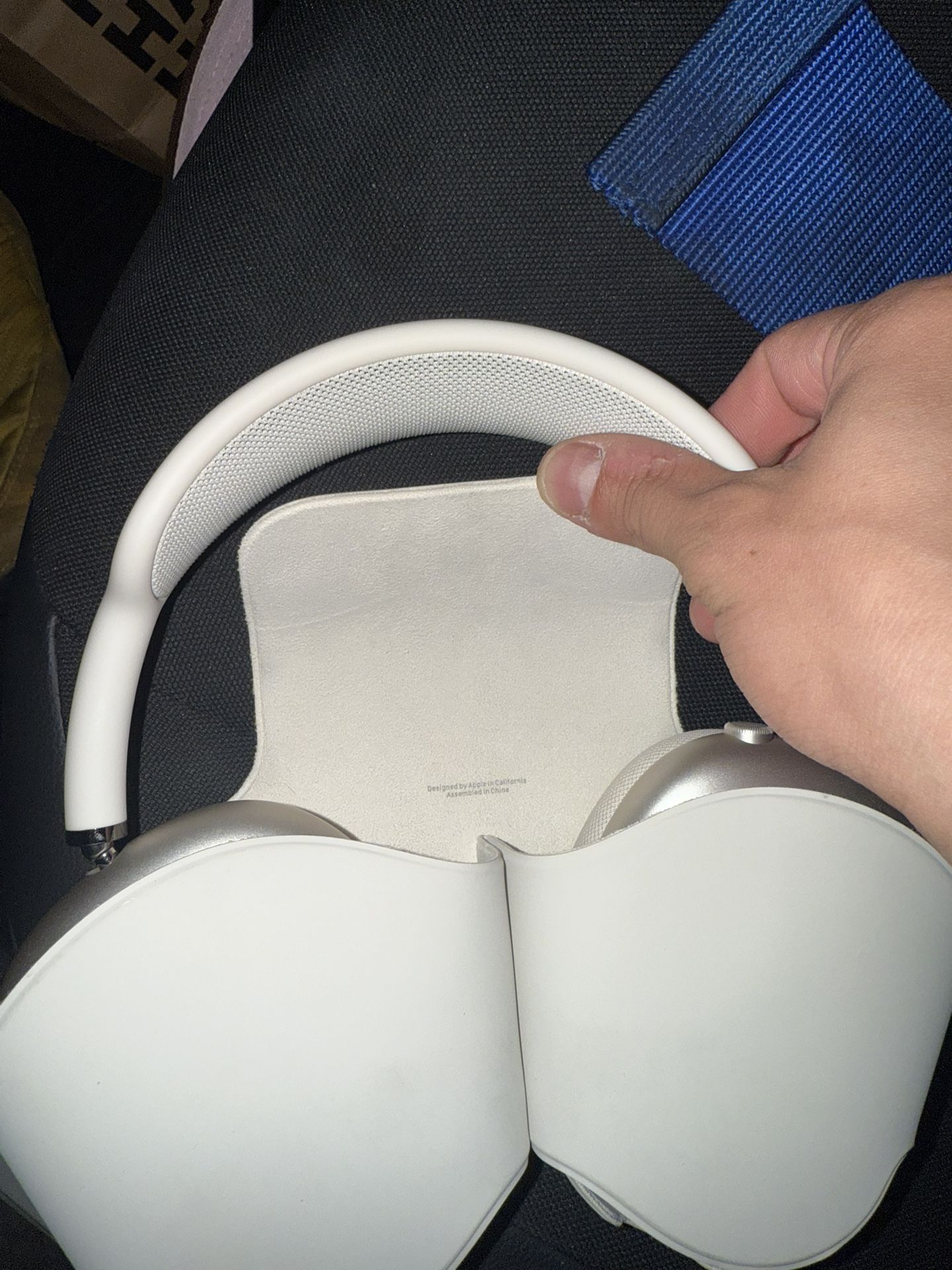 Apple Headphones 