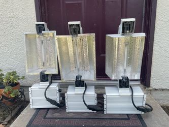 Growing weed lamps