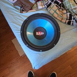 12 Inch Baja Subwoofer No Box