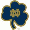 Irish Fan