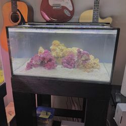 Innovative Marine 25G Lagoon Setup – $495 OBO