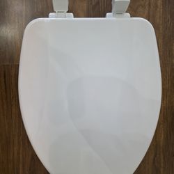 Brighton Elongated Soft Close Enameled Wood Removes for Easy Cleaning Toilet Seat in White