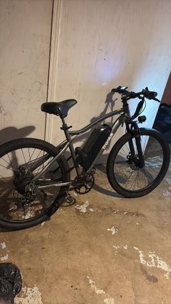 Tronluk E Bike