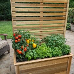 Cedar planter box with trellis/privacy fence