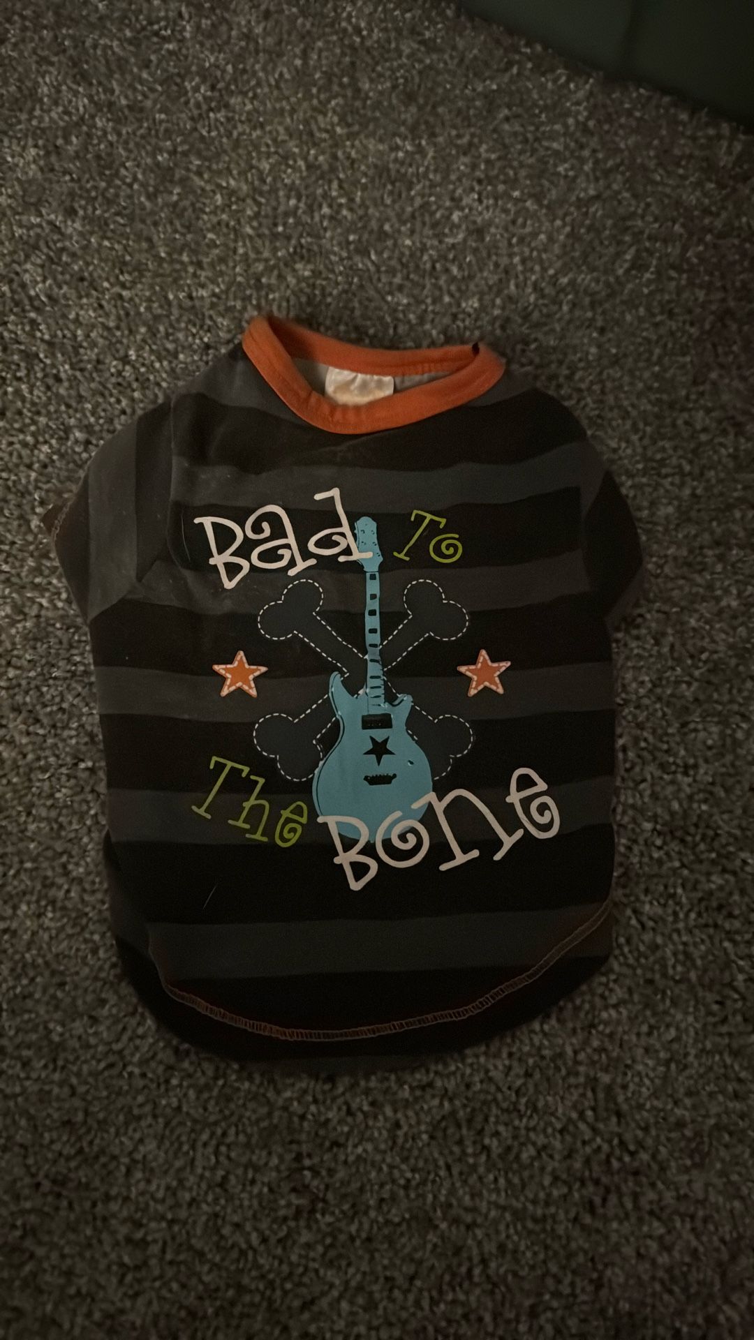 Bad To The Bone Striped T Shirt For Dogs