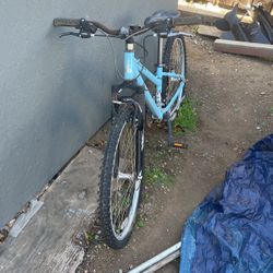 mountain bike