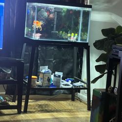 Fish, Tank, Stand, Food, Pump And Cleaning Supplies 