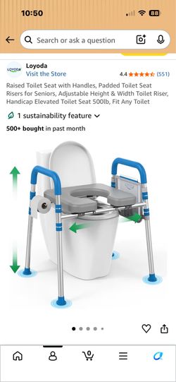 Raised toilet chair with handles