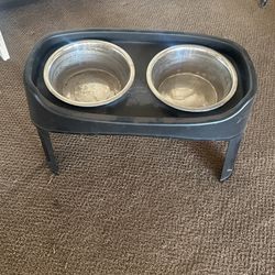 Dog bowl feeder