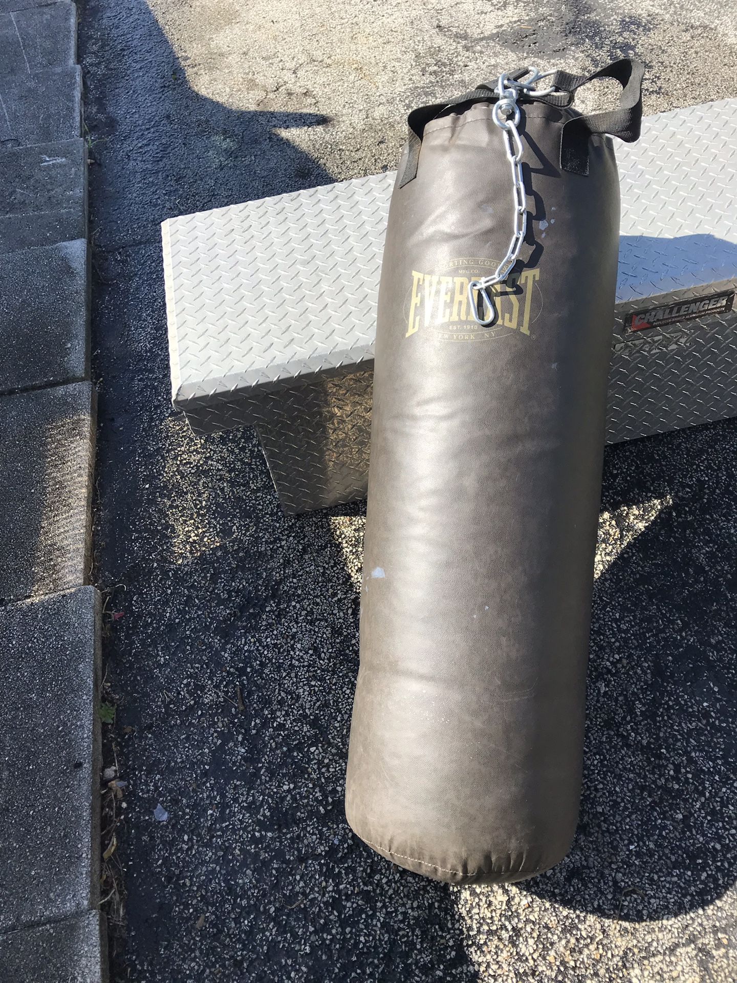 Everlast 70Lb punching bag with roof mount