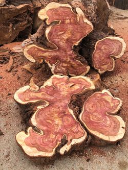 Rough cut wood slabs for woodworking, live edge, tables, coffee tables, etc. - Update 6/20/25