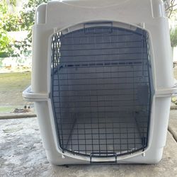Dog Kennel 
